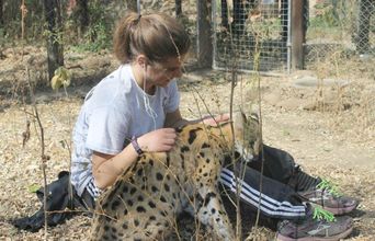 Prince The Serval