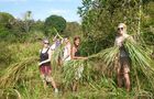 Volunteer in Cambodia - Elephant Sanctuary & Forest Conservation