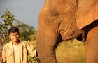 Volunteer in Cambodia - Elephant Sanctuary & Forest Conservation