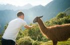 Volunteer in Peru - Teaching Assistance in Cuzco and 4- Day Machu Picchu Trek