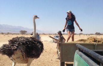 Andrea In The Safari